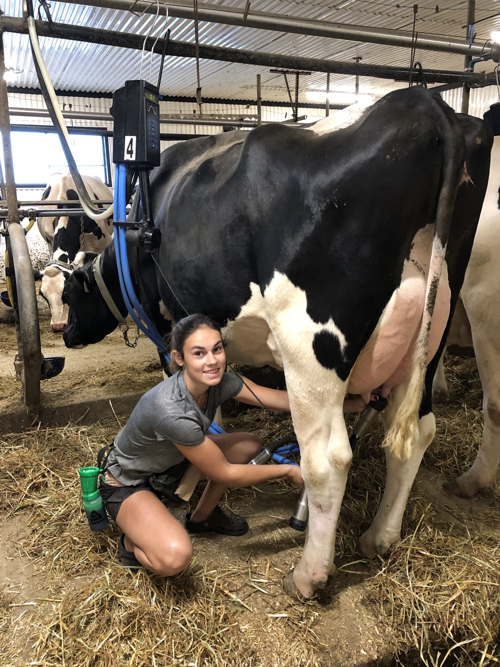 Student business owner milks cow
